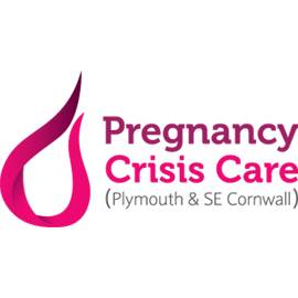 Pregnancy Crisis Care – Peer Group Work Support Facilitator